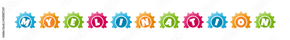 Myelination - text written inside colorful gears on white background Myelination - text written inside colorful gears on white background