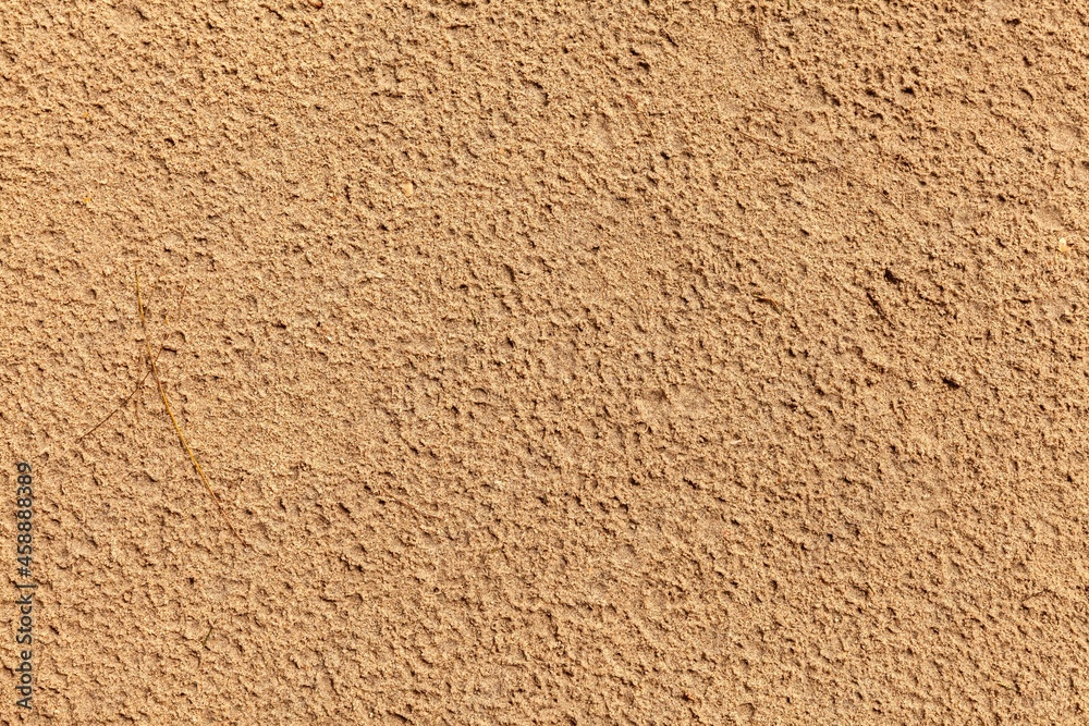 custom made wallpaper toronto digitalSand texture. Sandy beach for background. Top view. Natural sand stone texture background. sand on the beach as background. Wavy sand background for summer designs