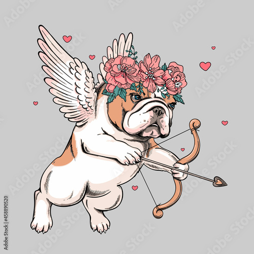 Cute english bulldog puppy with angel wings. Vector illustration in hand-drawn style. Cupid in a flower wreath. Image for printing on any surface	