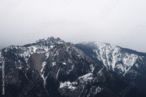 Snow and Foggy Sequoia Mountains 