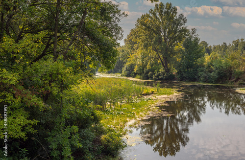 A small river with calm waters and flowering water lilies along the banks flows in a wooded area. Beautiful nature.