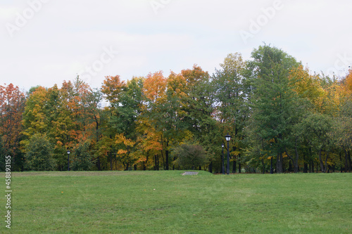 Autumn landscape in the city park. The trees show colorful autumn leaves.