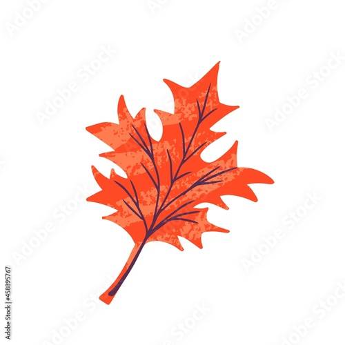 Modern autumn trendy icon of falling oak leaves, maple. Scrapbook collection of fall season elements. Flat natural vector illustration with floral for advertisement, promotion