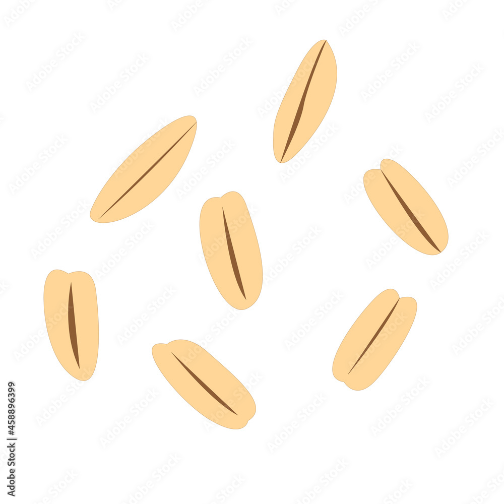 Oat vector isolated on white background. Oat vector isolated on white background.