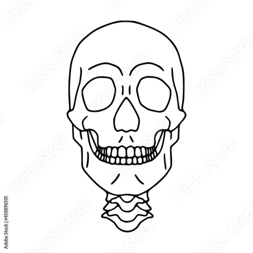 Human skull outline icon, front view