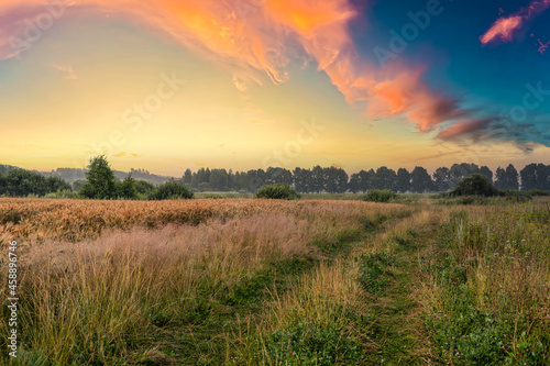 A scenic view on sunrise with a road leading into the distance, rye field and trees in the background. Bright colorful clouds lit by the rising sun. © EZ2LA