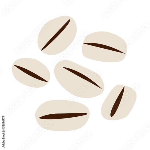 Pearl barley vector isolated on white background.