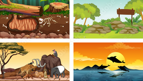 Four different nature horizontal scene