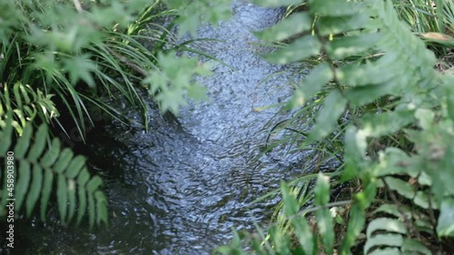 あぜ道の水路を流れる水