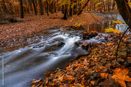 River in the woods in autumn