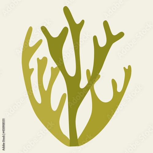 Green icon bush Icelandic moss