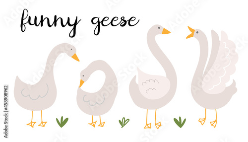 Cute and funny geese isolated on white background, isolated on white background