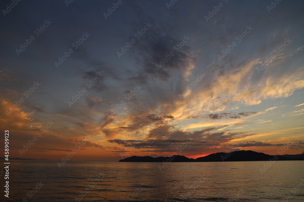 Obraz premium SDGs地球の自然！瀬戸内海の光 『Fall Flowers』