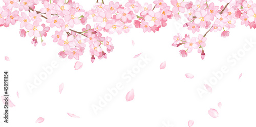 桜と散る花びらの横方向シームレスパターン。水彩イラスト。フレーム装飾。