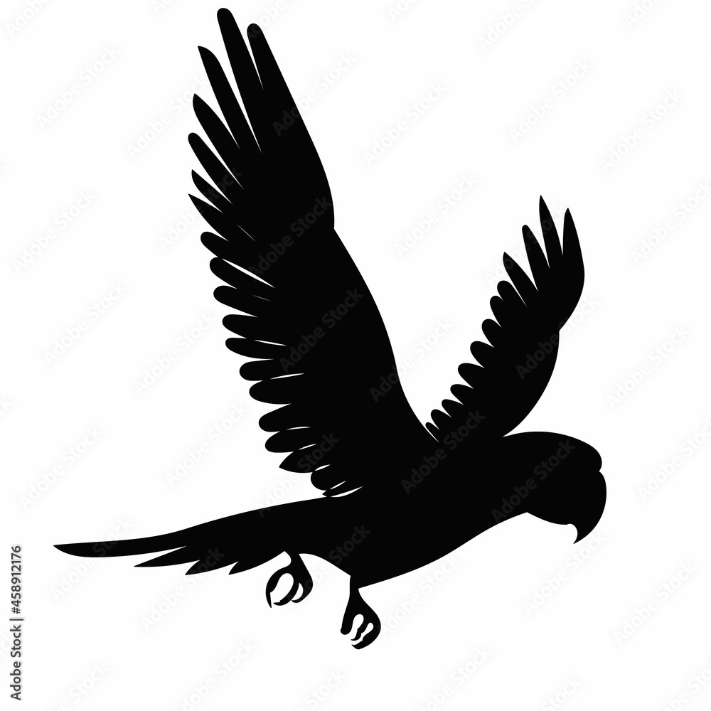 Obraz premium black silhouette of a parrot flies on a white background