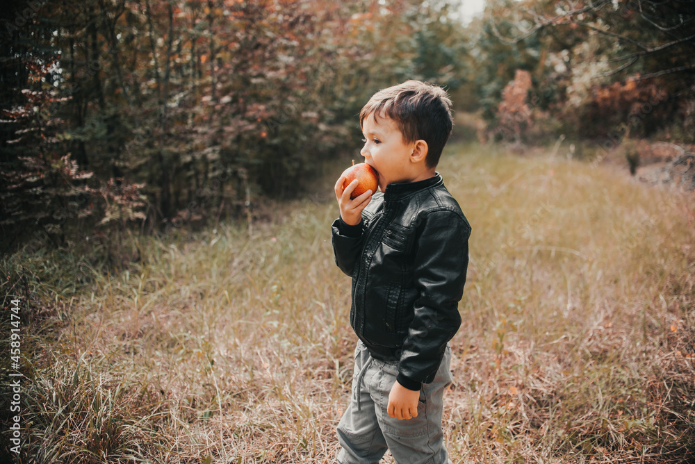 A cheerful boy in the autumn forest eats an apple first grader A cheerful boy in the autumn forest eats an apple first grader