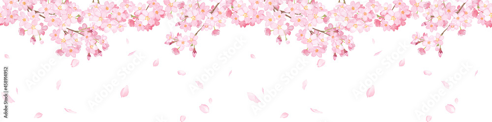 桜と散る花びらの横方向シームレスパターン。水彩イラスト。フレーム装飾。 桜と散る花びらの横方向シームレスパターン。水彩イラスト。フレーム装飾。