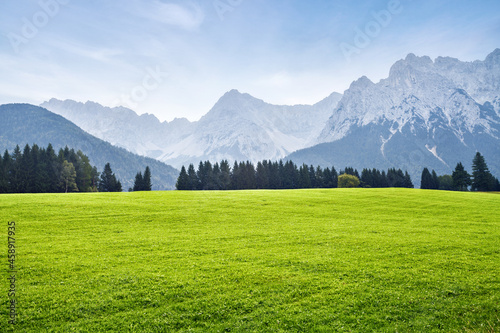 Green meadow in Alps, landscape in summer day