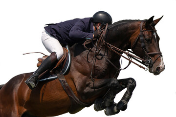 Horse Jumping, Equestrian Sports, Show Jumping themed photo isolated on white background