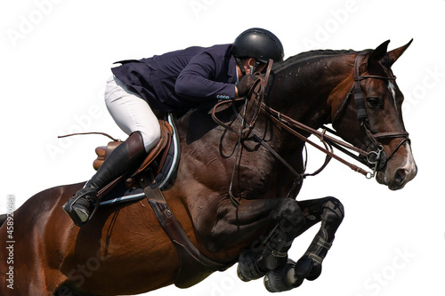 Horse Jumping, Equestrian Sports, Show Jumping themed photo isolated on white background photo