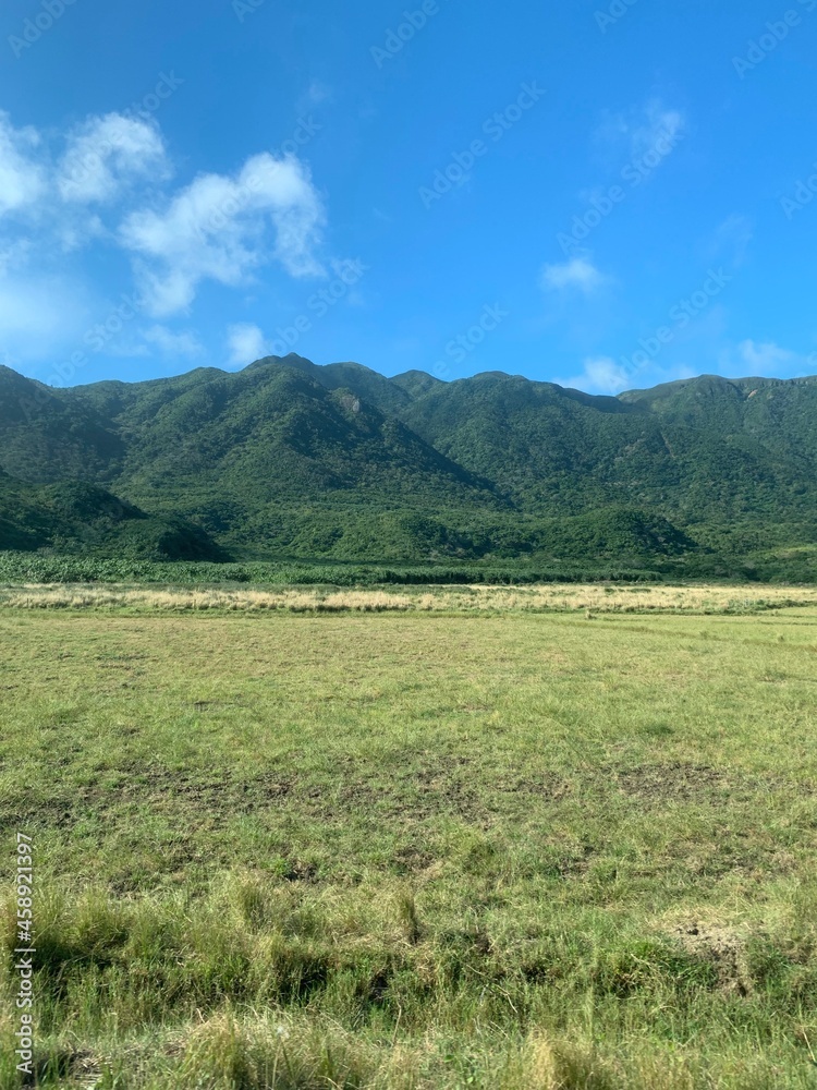 西表島 八重山諸島 沖縄県 西表島 八重山諸島 沖縄県