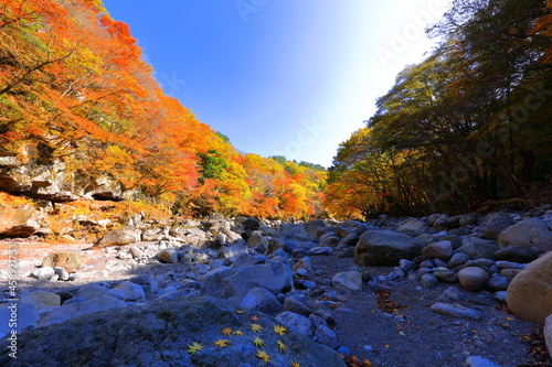 가을 단풍이 아름다운 제주도 한라산의 천야계곡의  황홀한 가을 풍경이다. photo