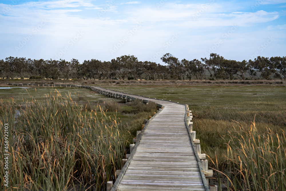 West coast national park. Wooden bridge over swamp in south africa. Located at the Geelbek bird hide next to cape town