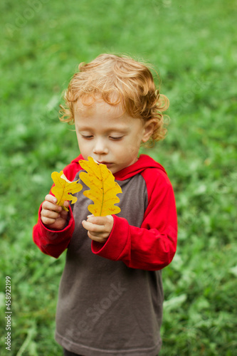 Autumn leaves in hand of little boy
