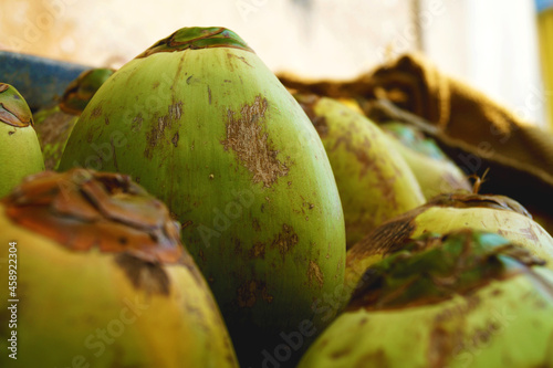 couple of green tender coconuts for sale
