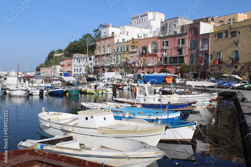 boats in the harbor