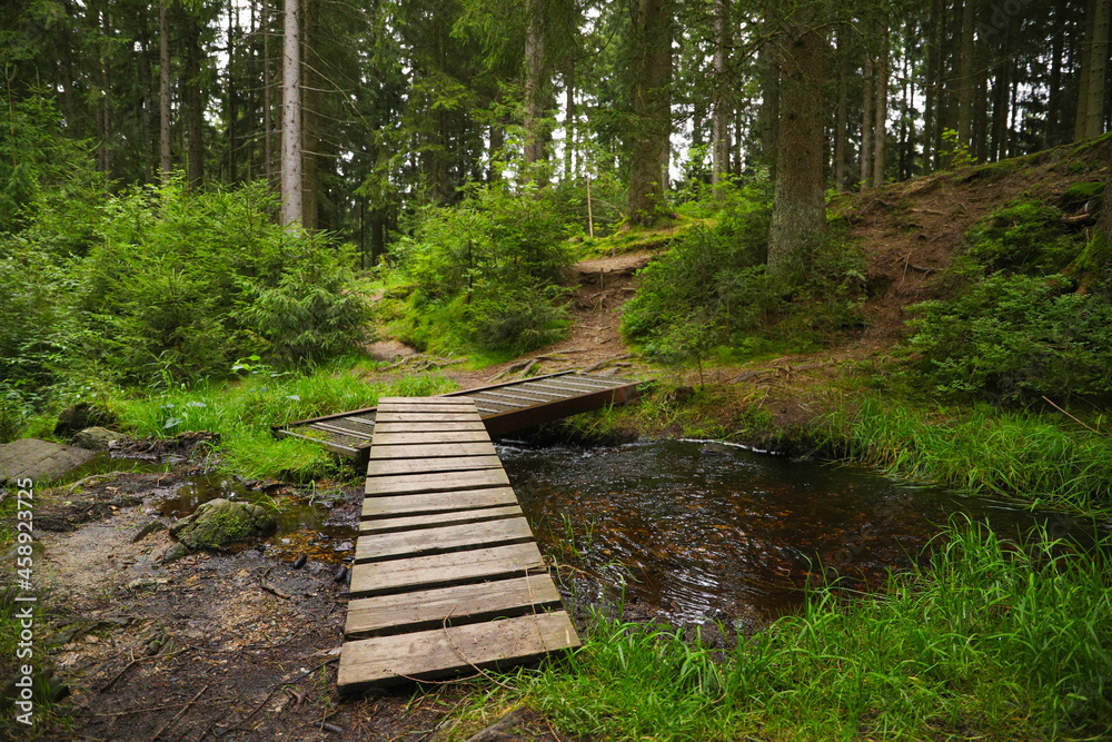 Obraz premium A bridge on hiking trail 