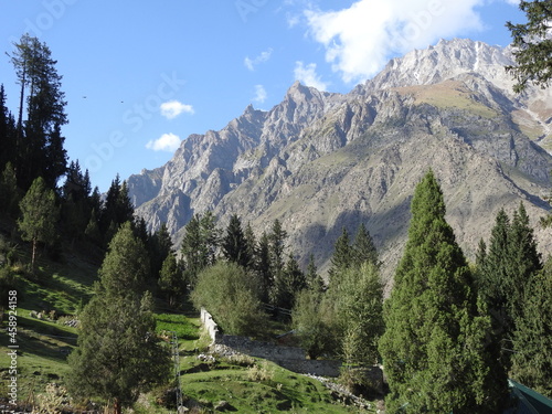 Mountain with lush green tall trees in Pakistan