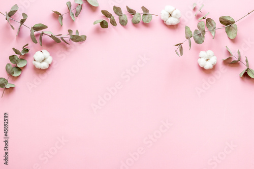 Round frame floral pattern with eucalyptus leaves and cotton © 279photo