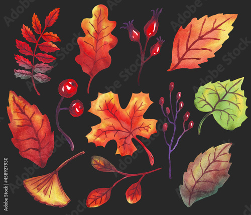 Autumn leaves, branches and berries. Set of watercolor illustrations