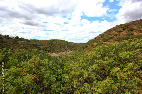 paisagem serrana