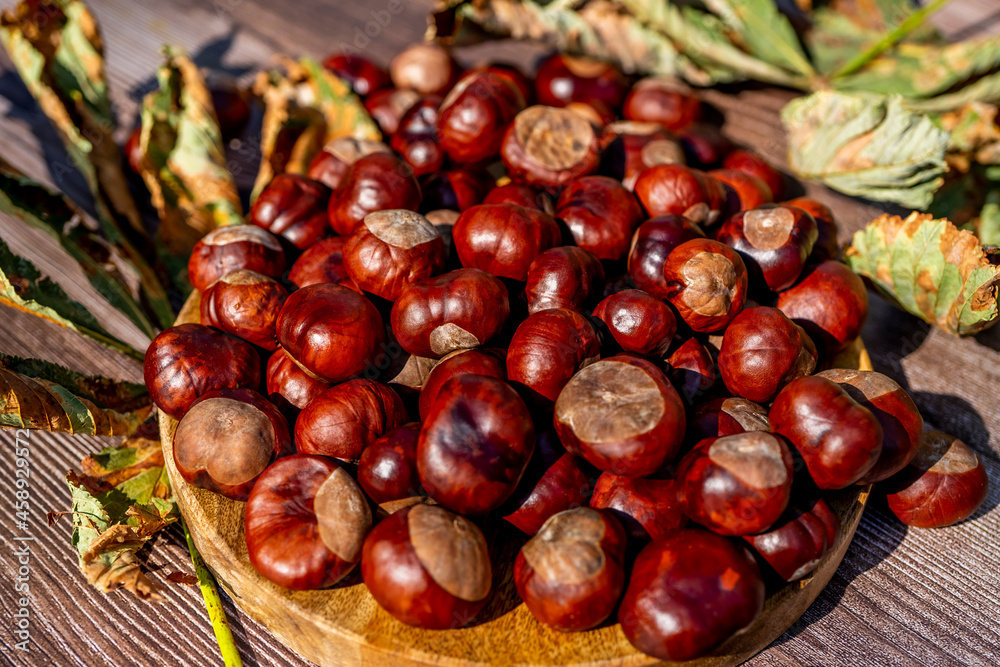 Chestnuts in a plate with dry leaves on a brown wooden table. Autumn still life with bright horse chestnuts on wooden background. High quality photo Chestnuts in a plate with dry leaves on a brown wooden table. Autumn still life with bright horse chestnuts on wooden background. High quality photo