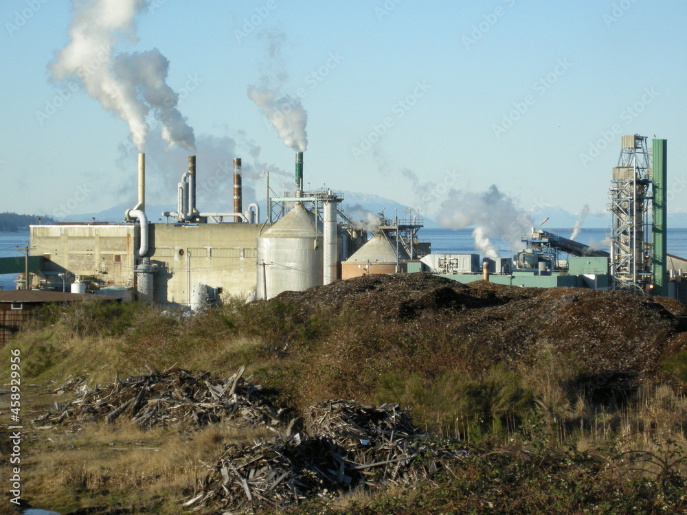 Paper pulp mill factory. Vancouver Island, British Columbia, BC, Canada.