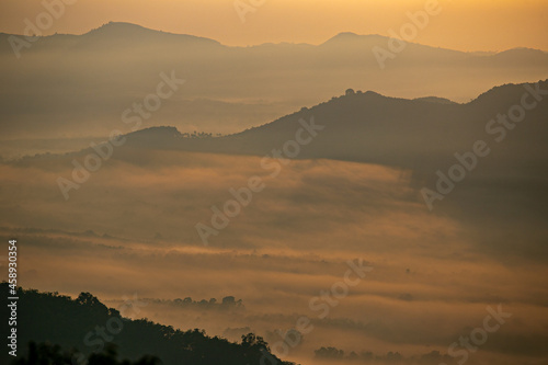 The mist that covers the forest in the morning