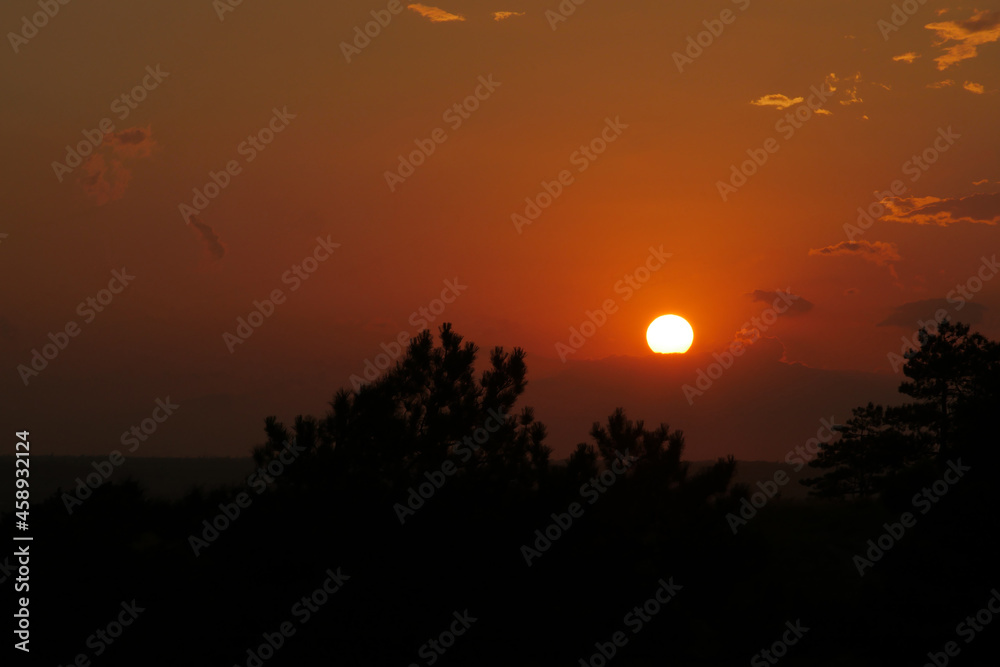 Scenic colourful sunset in Crimea, silhouettes of trees Scenic colourful sunset in Crimea, silhouettes of trees