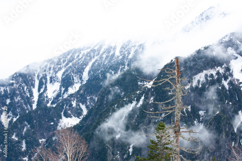 Obraz na płótnie 黒部立山アルペンルート 雪山 弥陀ヶ原 立山室堂平 立山 大観峰 黒部平