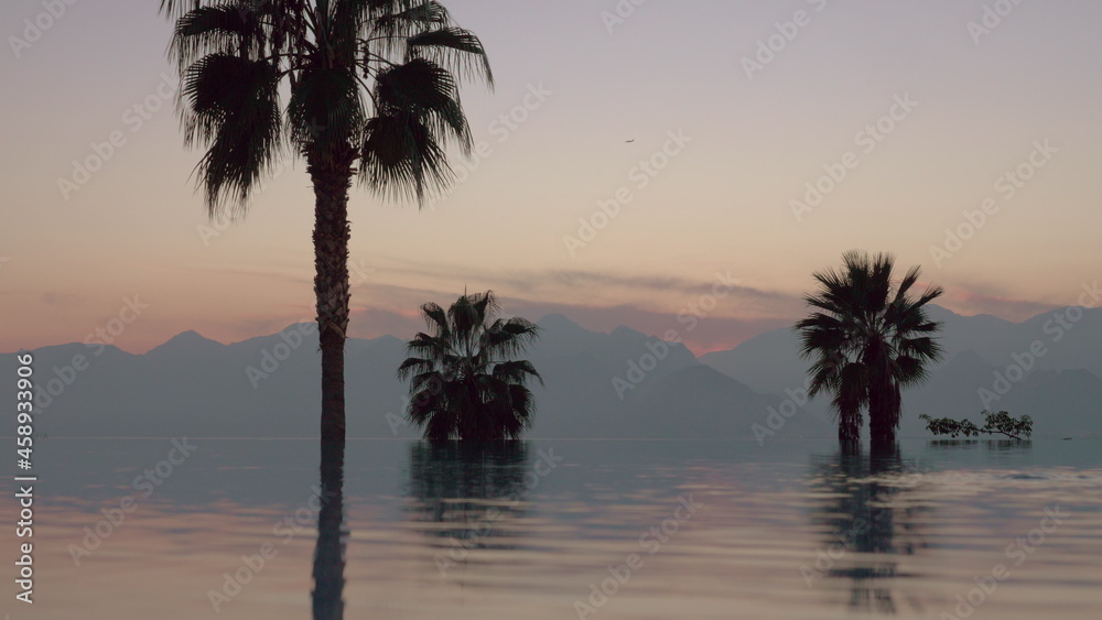 A reflective open pool limit in front of palm trees and mountain evening scenery