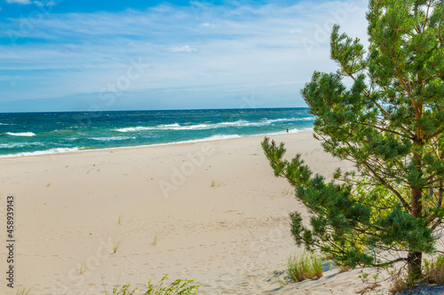 Summer landscape. A lonely beach with white sand and blue sea. View of Baltic sea coast.  Hel  Peninsula  Pomerania  Poland