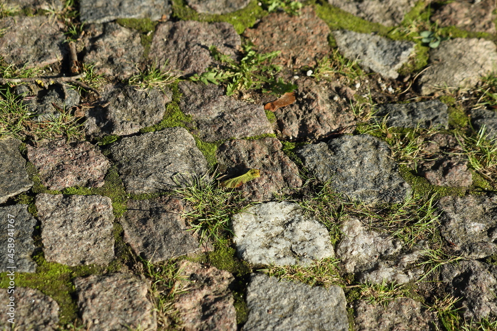 Ancient mossy cobblestone pavement. High quality photo