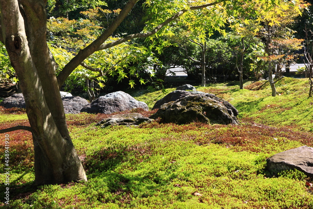 Naklejka premium かまくらの寺、長寿寺、