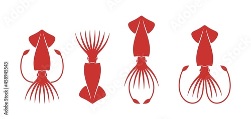 Εκτύπωση καμβά Squid logo. Isolated squid on white background