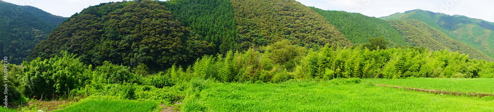 Rural Landscape over Mountain range in Kochi, Shikoku, Japan - 日本 四国 高知 田園風景