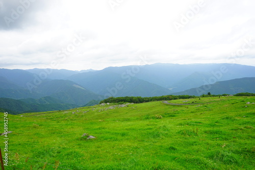 Beautiful Outdoor Green Field View of Shikoku Karst Natural Park in Kochi, Shikoku, Japan - 日本 高知県 四国カルスト 姫鶴平の高原 