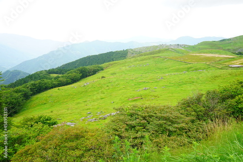 Beautiful Outdoor Green Field View of Shikoku Karst Natural Park in Kochi, Shikoku, Japan - 日本 高知県 四国カルスト 姫鶴平の高原 
