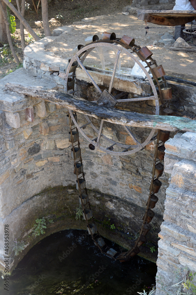Rural Irrigation system in Kumbhalgarh Aravelli Hills, Udaipur, Rajasthan, India.Cows used for traditional irrigation purposes and cultivation