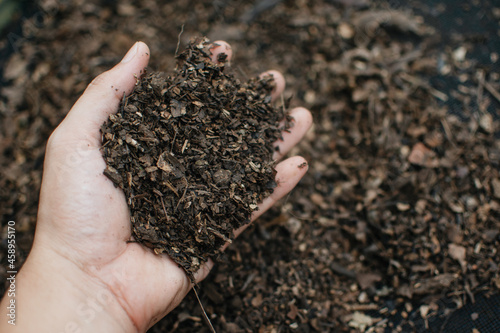 Farmer holding pile of compost Soil (Peat moss, Fertilizer). Agriculture, organic gardening, planting or ecology concept. Environmental, earth day. Banner. Top view. Copy space. 